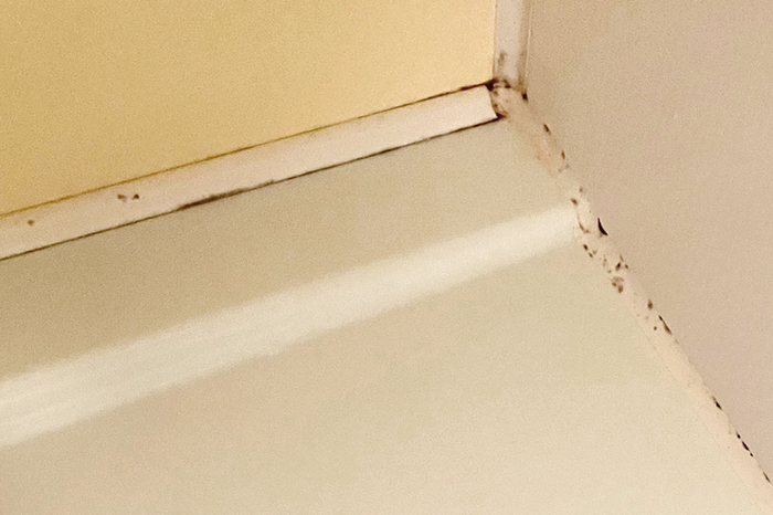 お風呂に黒カビが発生するのはなぜ?場所別の掃除方法と予防法を解説! - キュービックスクエア公式ブログ